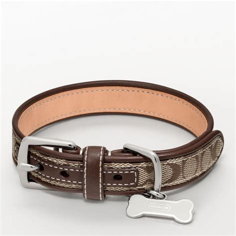 designer dog collars coach.